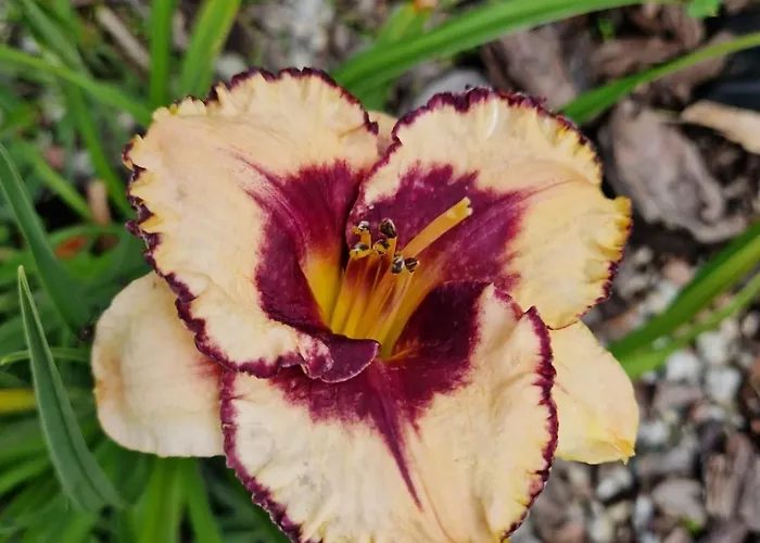 Szepty Mazur Апартаменты Odoje