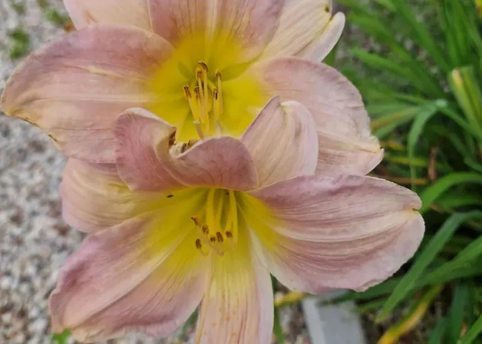 Szepty Mazur Апартаменты